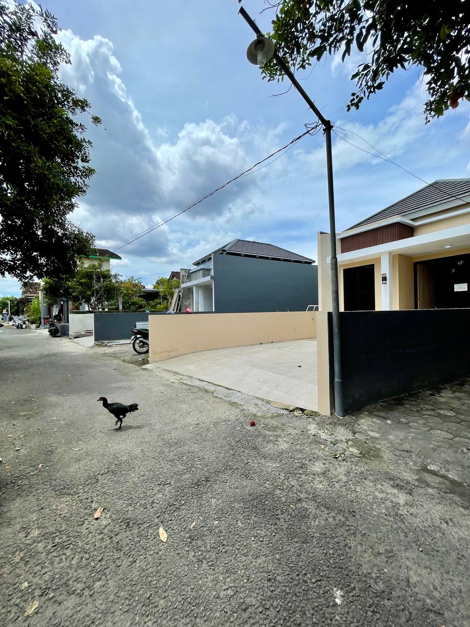 photo_8_2025-01-24_15-35-33