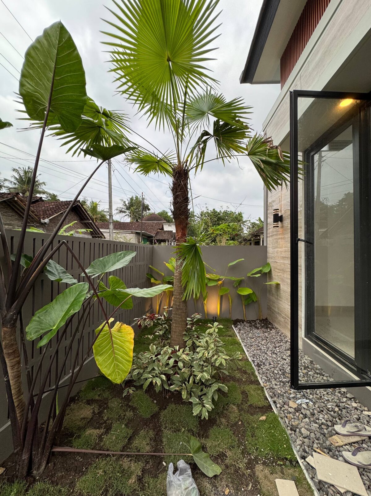 photo_5_2026-04-11_00-58-58